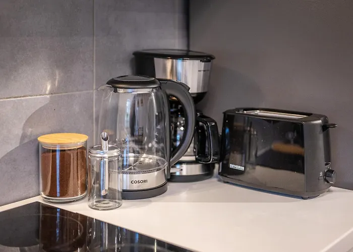 아파트 Obere Rheinblick-oase Komfort Mit 2 Sz Balkon *